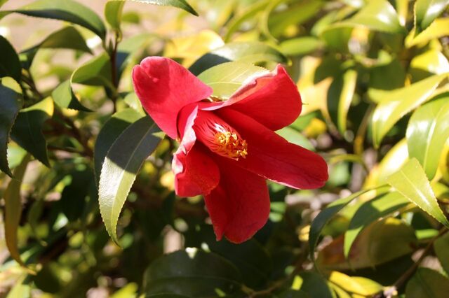 6UP_IMG_6974.jpg
