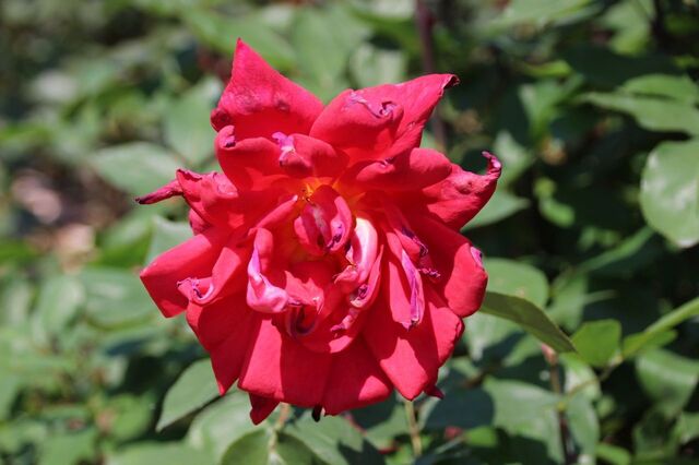 6UP_IMG_9644.jpg