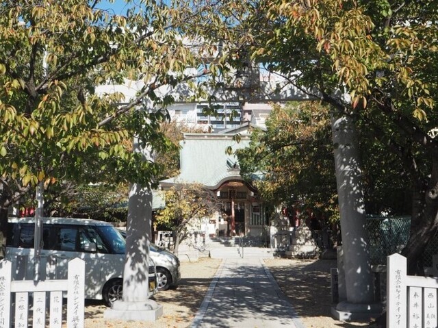6aP_PB065867 - コピー.jpg
