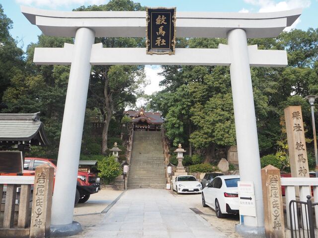 6aP_PB066267.jpg