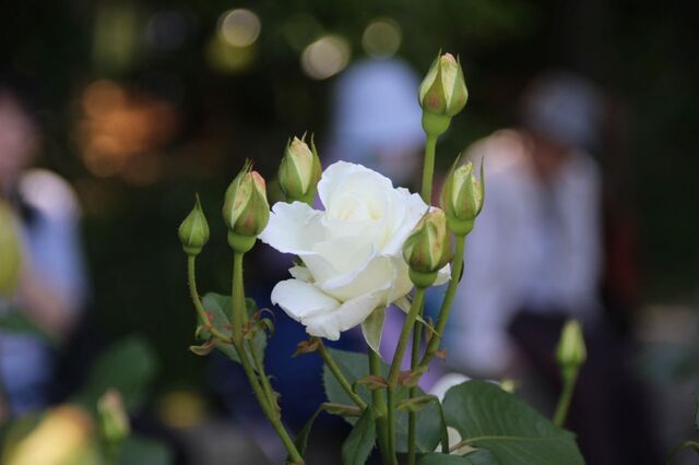 6bP_IMG_0084.jpg