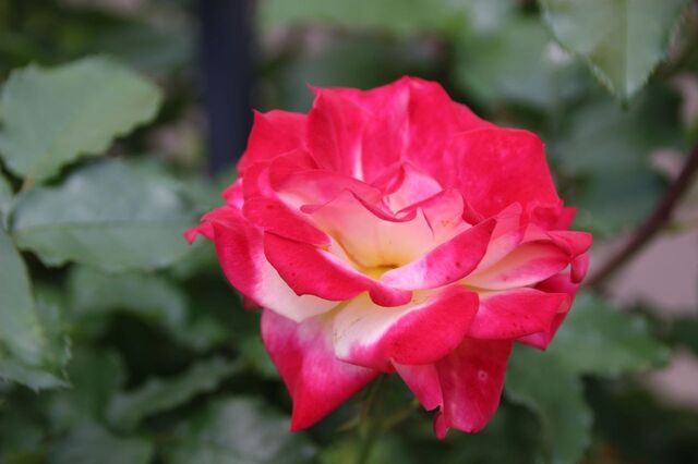 6bP_IMG_0543.jpg