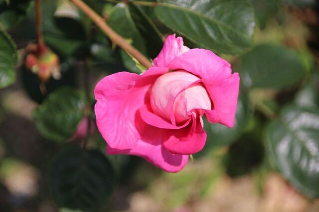 6bP_IMG_0631.jpg