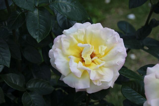 6bP_IMG_1070.jpg