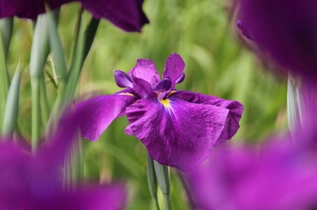 6bP_IMG_2220.jpg