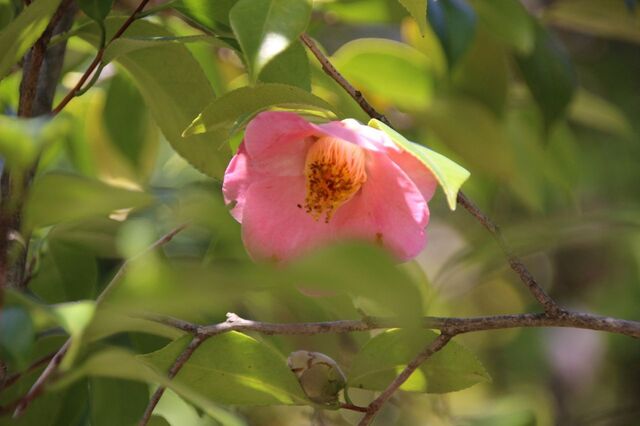 6bP_IMG_3423.jpg