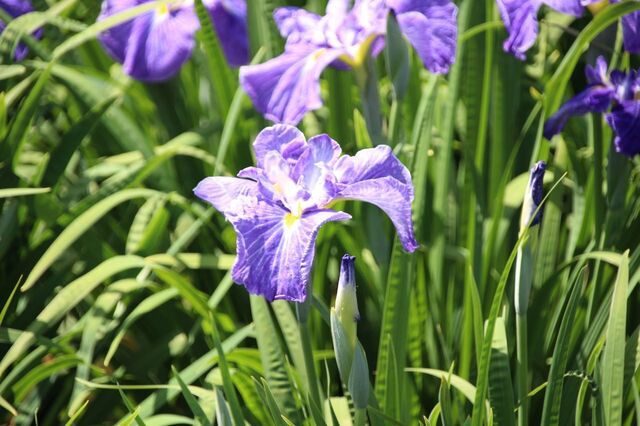 6bP_IMG_3530.jpg