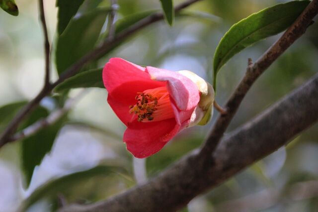 6bP_IMG_3670.jpg