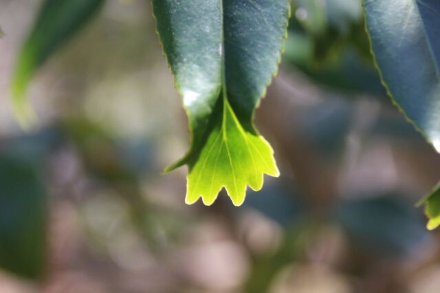 6bP_IMG_3991.jpg