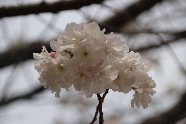 6bP_IMG_4604.jpg