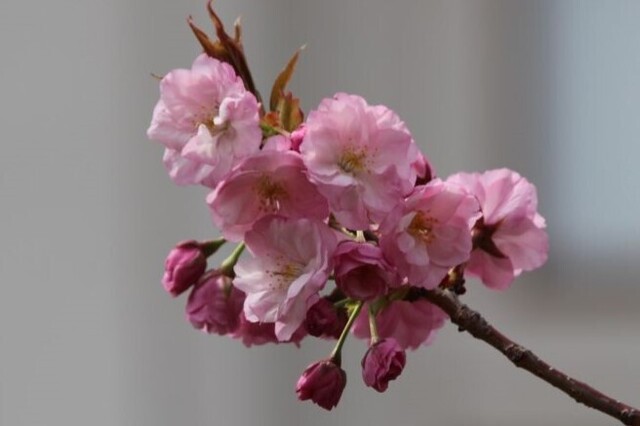 6bP_IMG_4649.jpg