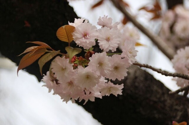 6bP_IMG_4733.jpg