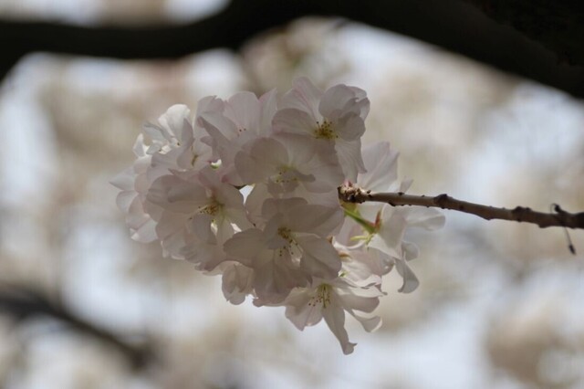 6bP_IMG_4749.jpg