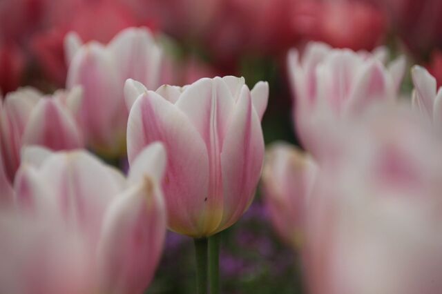 6bP_IMG_6067.jpg