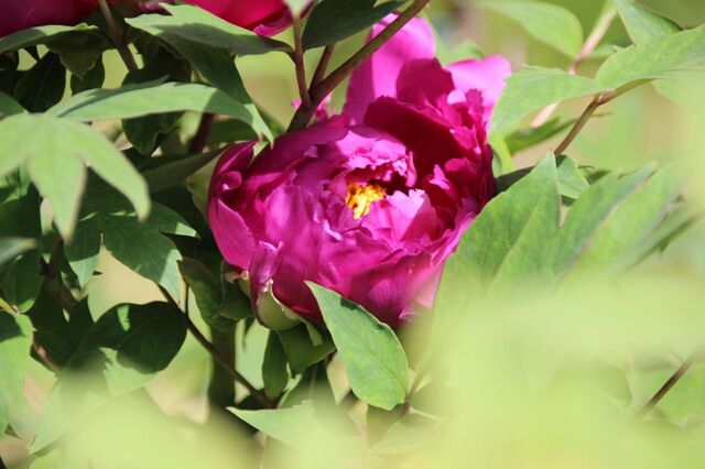6bP_IMG_7488.jpg