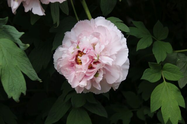 6bP_IMG_7512.jpg
