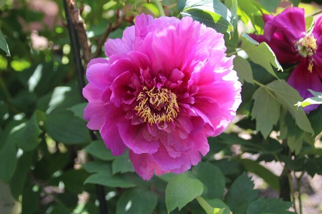 6bP_IMG_7530.jpg