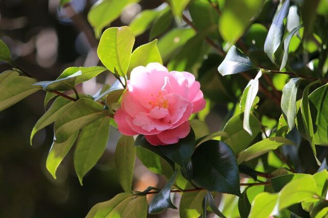 6uP_IMG_3715.jpg