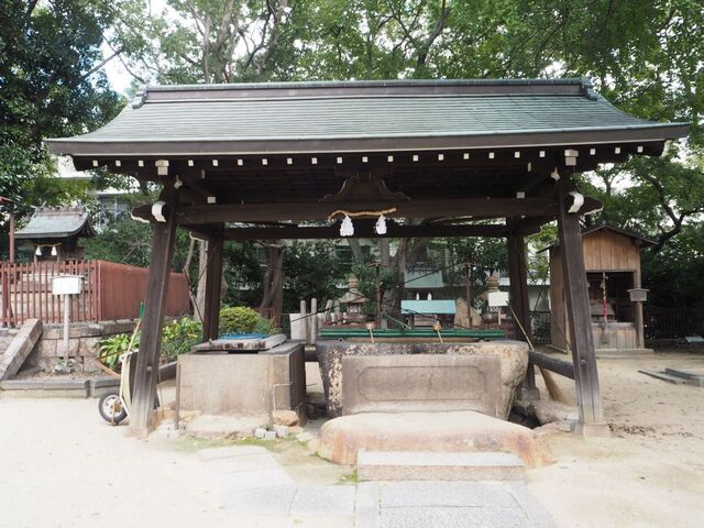 74aP_PB066373.jpg