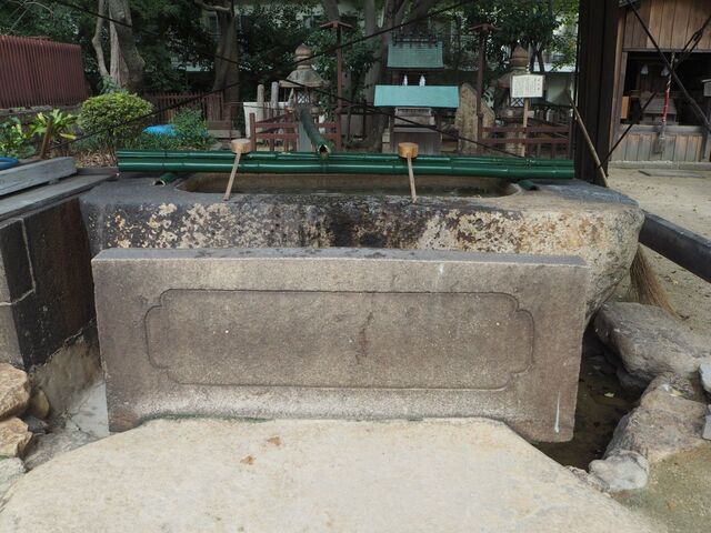 75aP_PB066374.jpg