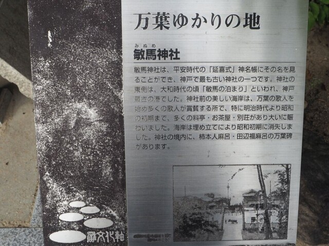 77aP_PB066399.jpg