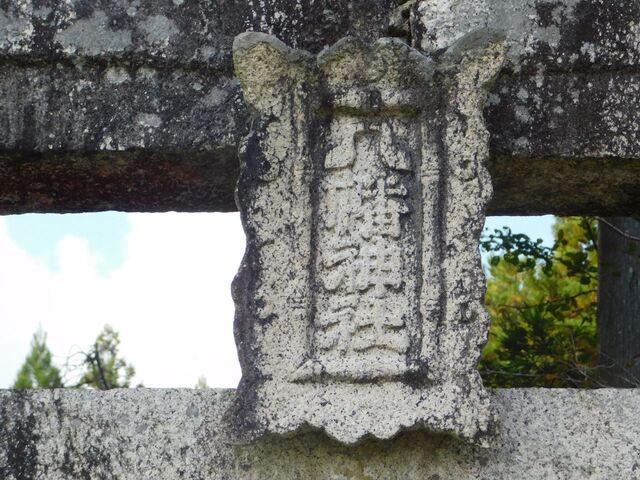 7aP_DSCN1461.jpg