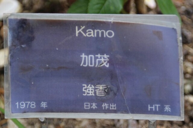 7aP_IMG_7305.jpg