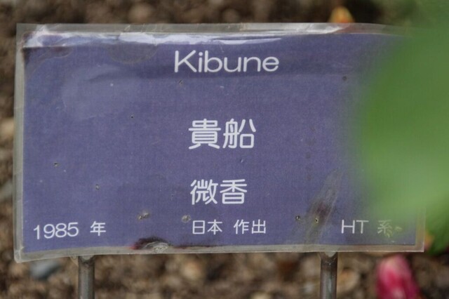 7aP_IMG_7349.jpg