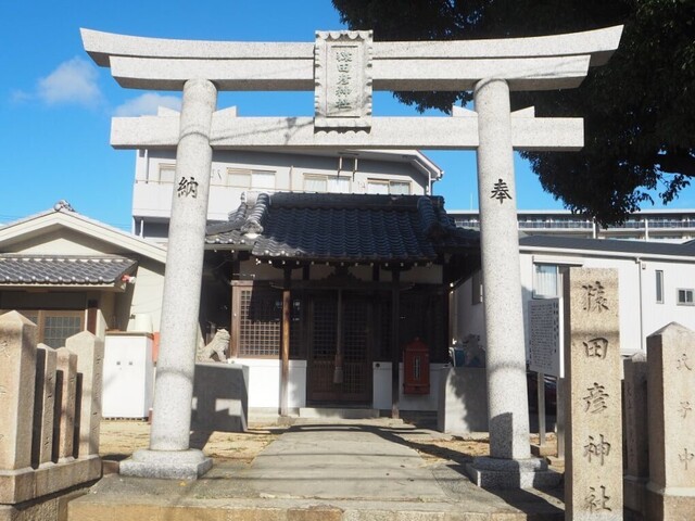 7aP_PB065772.jpg
