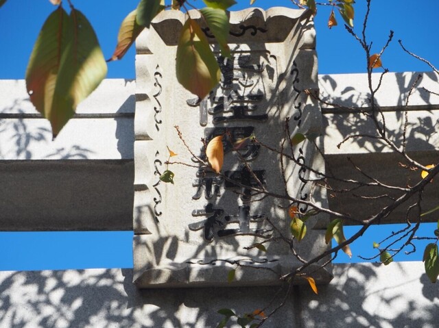 7aP_PB065873.jpg