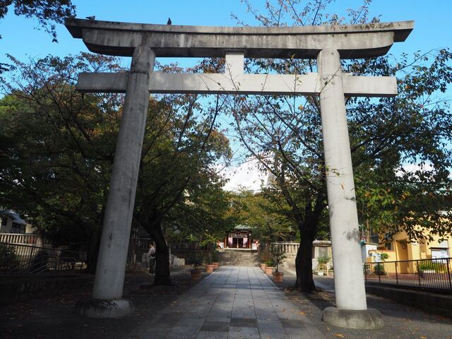 7aP_PB066099.jpg