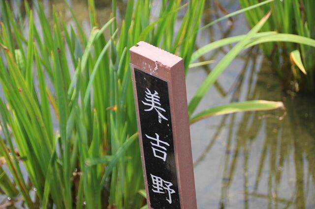 7bP_IMG_2305.jpg