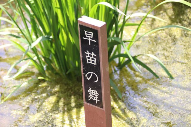 7bP_IMG_3497.jpg