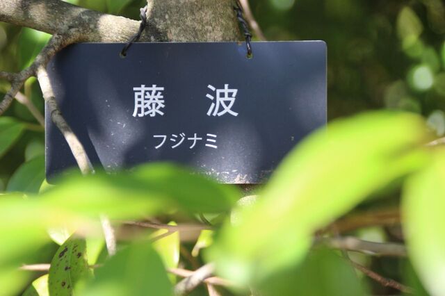 7bP_IMG_3652.jpg