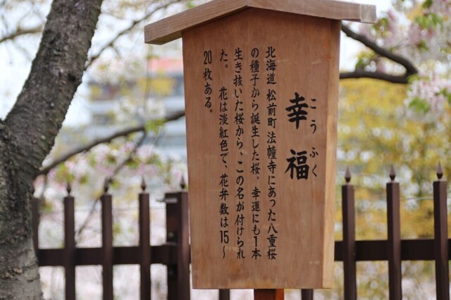 7bP_IMG_4474.jpg