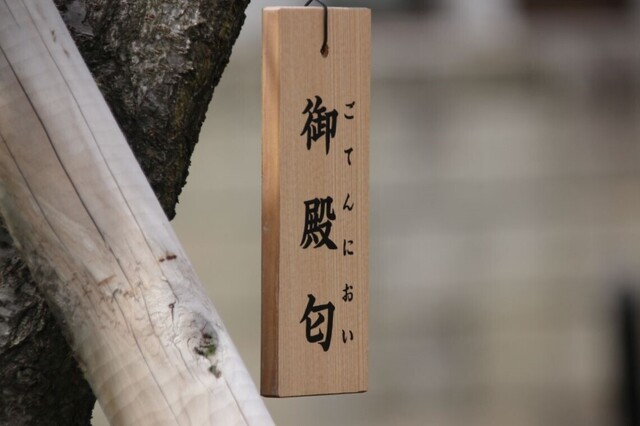 7bP_IMG_4635.jpg