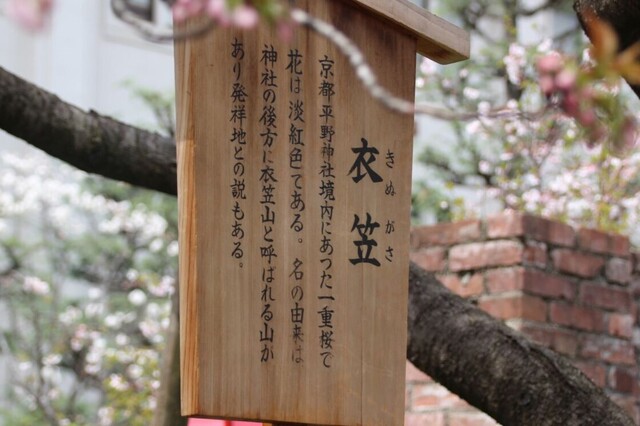 7bP_IMG_4676.jpg