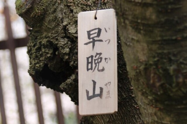 7bP_IMG_4741.jpg