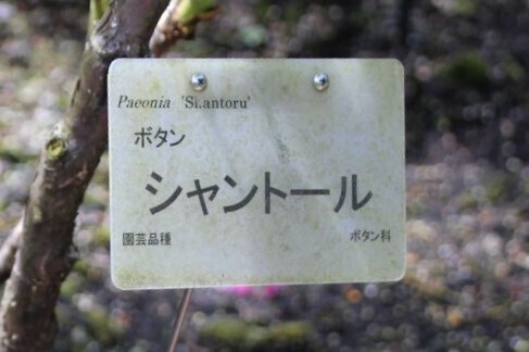 7bP_IMG_7493.jpg