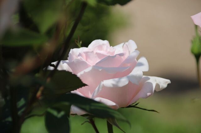 8UP_IMG_1076.jpg