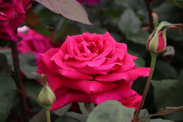 8UP_IMG_7191.jpg
