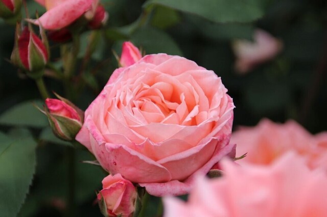 8UP_IMG_7358.jpg
