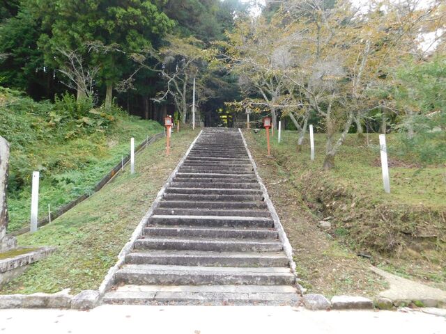 8aP_DSCN1345.jpg