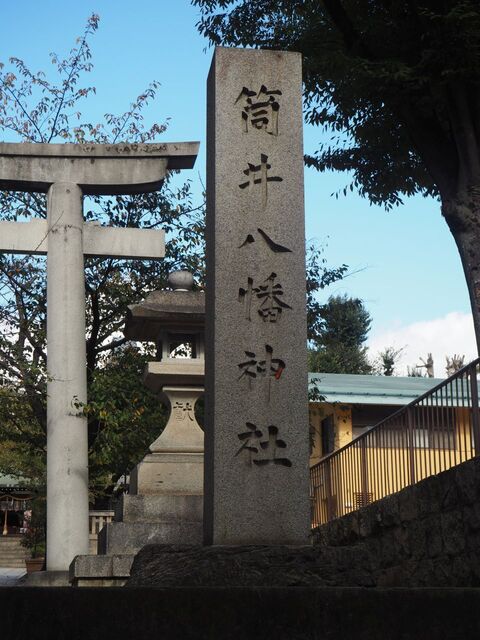 8aP_PB066103.jpg