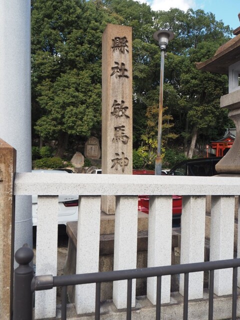 8aP_PB066270.jpg
