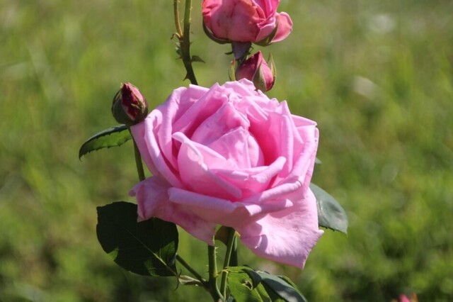 8bP_IMG_1259.jpg