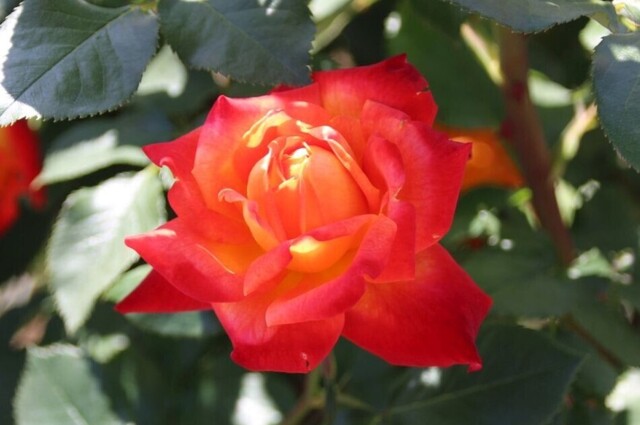 8bP_IMG_9371.jpg
