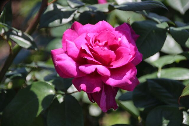 8bP_IMG_9434.jpg