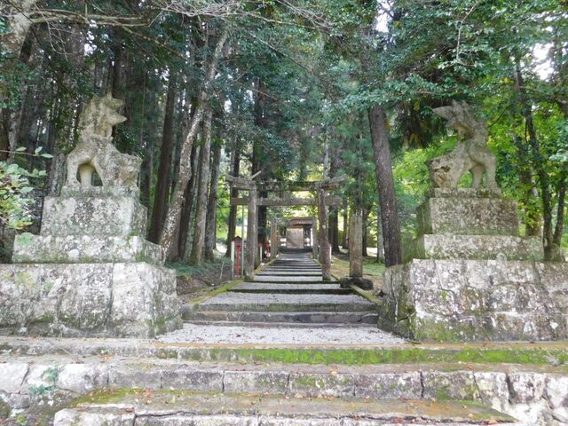 9aP_DSCN1342.jpg