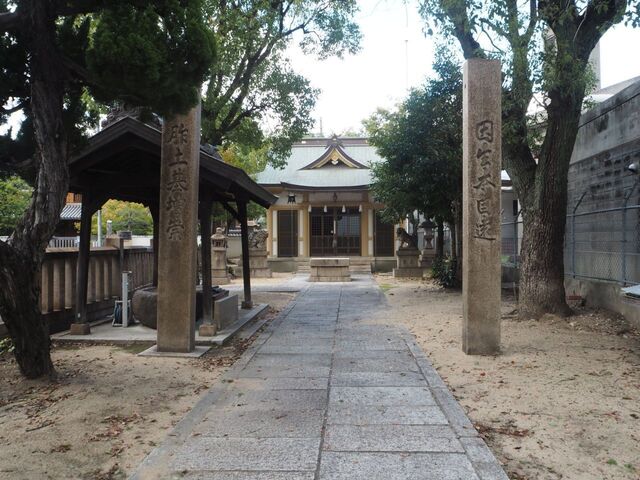 9aP_PB066537.jpg